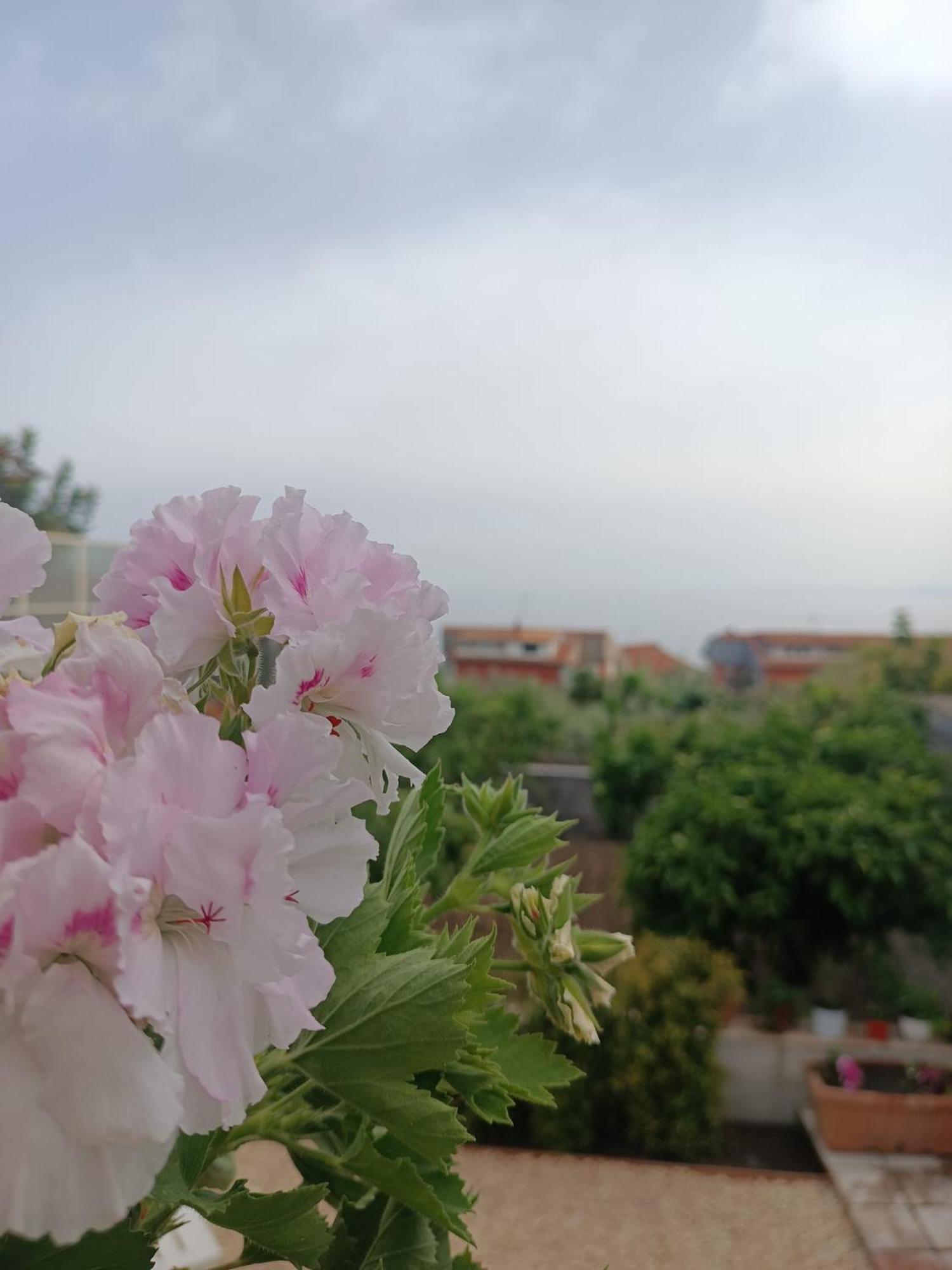 Villa Mosa House Aci Castello Esterno foto
